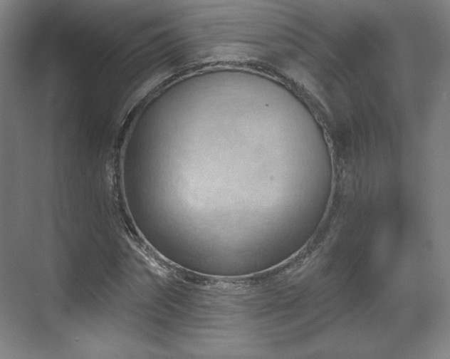 X0000070160874200606021029