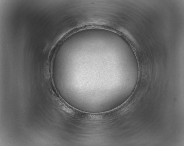 X0000070160878200606021028