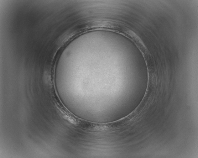 X0000070160882200606021028