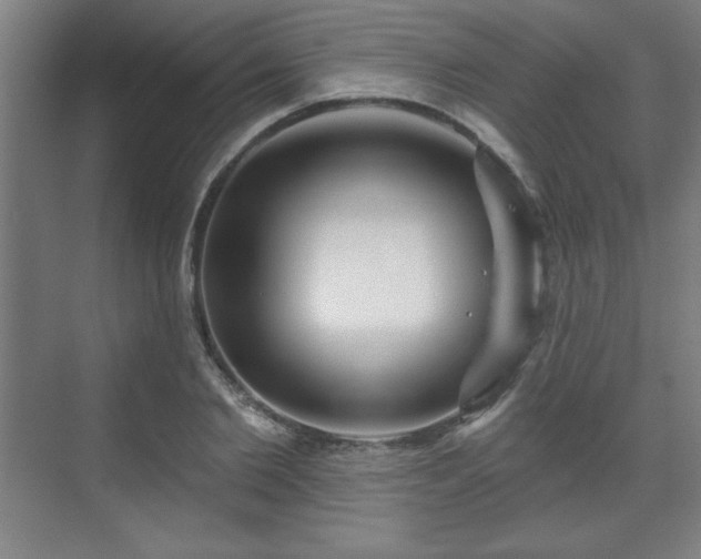 X0000070160885200606021028