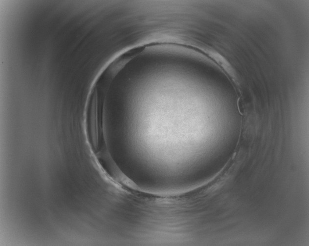 X0000070160904200606021028