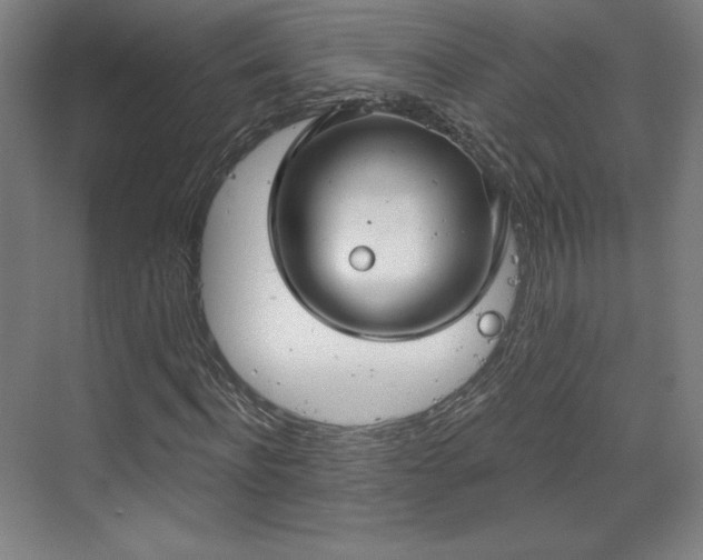 X0000070160916200606021027