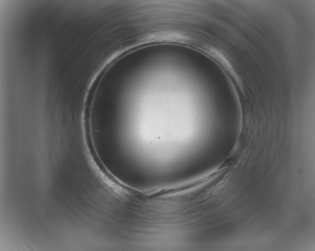 X0000070160947200606021028