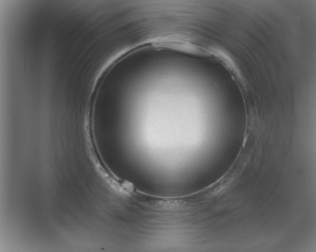 X0000070160952200606021028