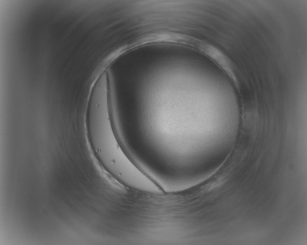 X0000070160954200606021028
