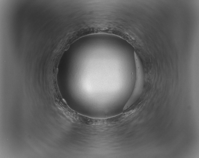 X0000070160961200606021027