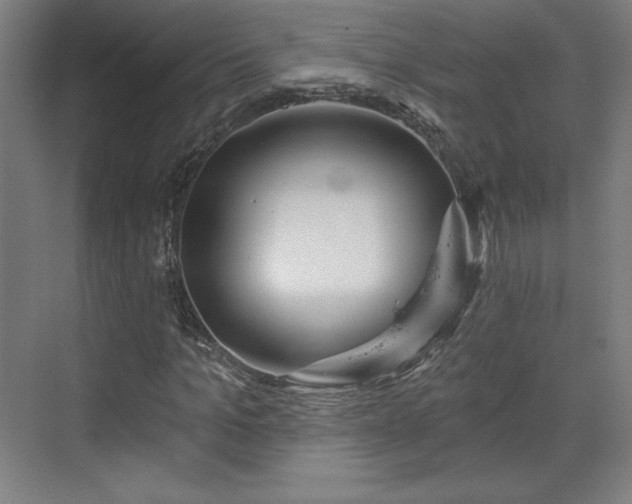 X0000070160965200606021027