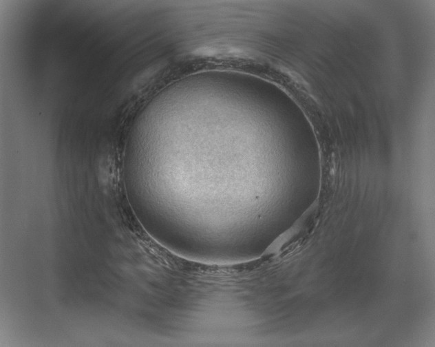 X0000070160966200606021027