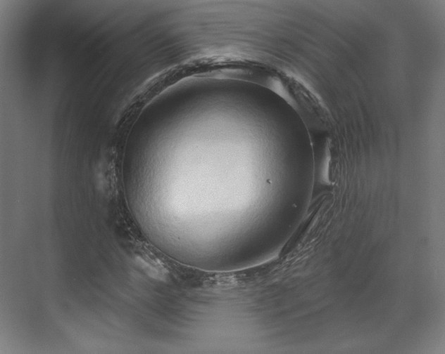 X0000070160968200606021027