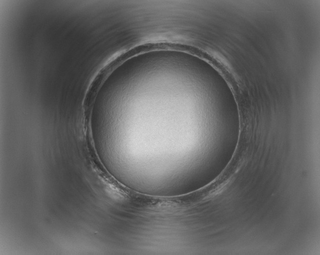 X0000070160974200606021027