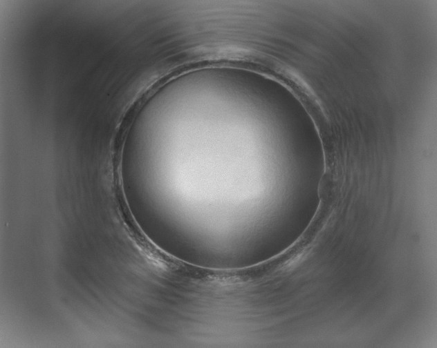 X0000070160978200606021027