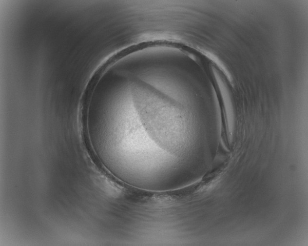 X0000070160983200606021027