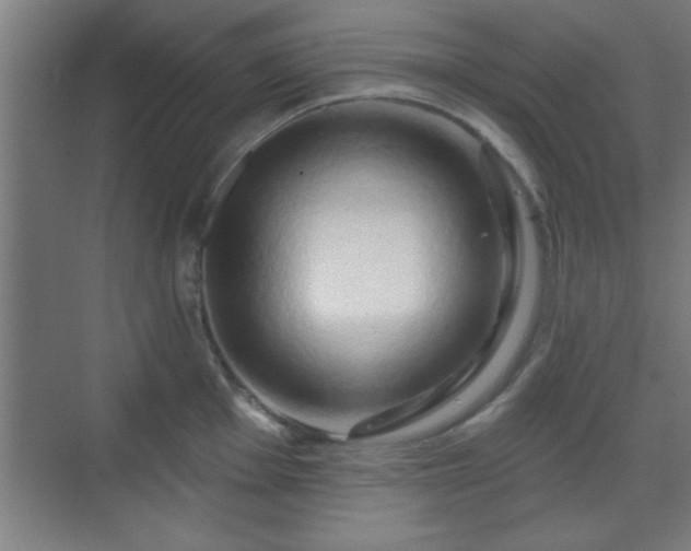 X0000070161001200606021026