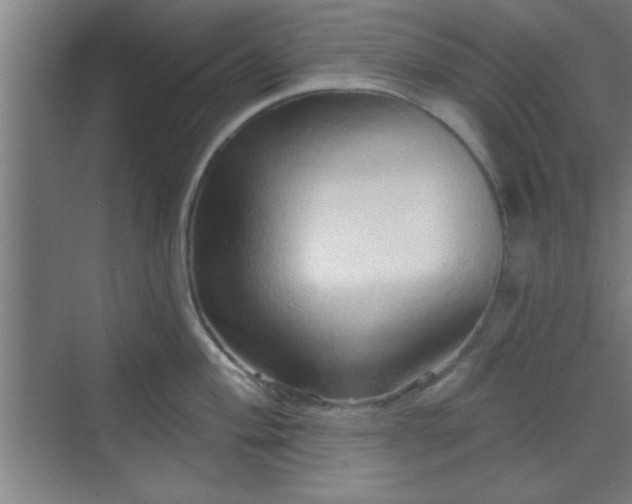 X0000070161004200606021026