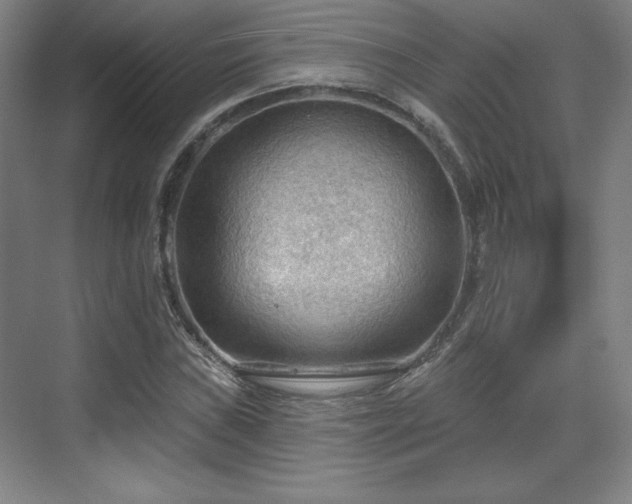 X0000070161019200606021026