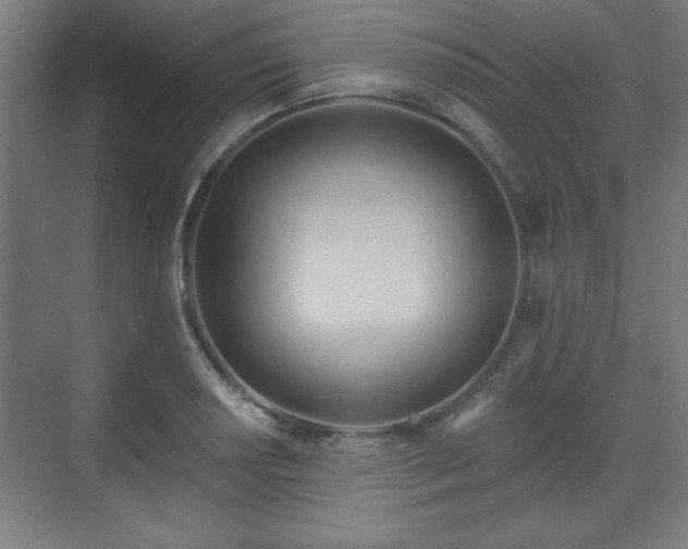 X0000070161034200606021026