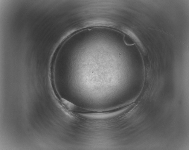 X0000070161043200606021026
