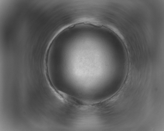 X0000070161056200606021026