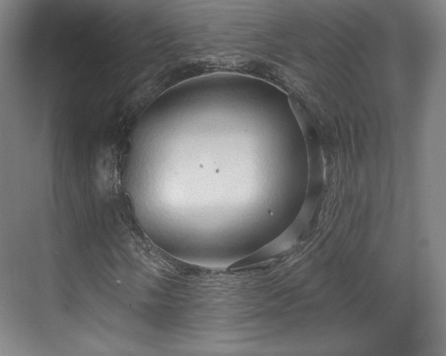 X0000070161058200606021025