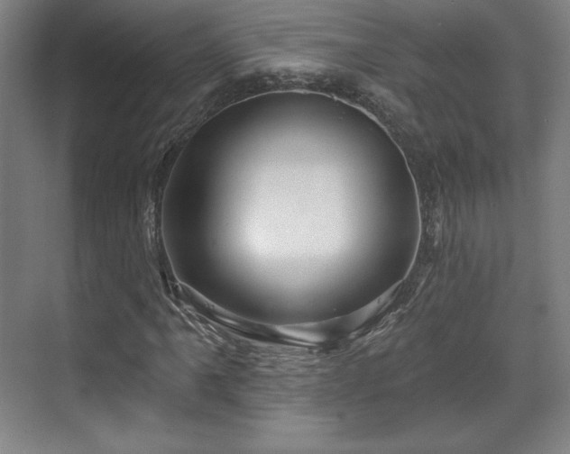 X0000070161061200606021025