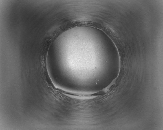 X0000070161062200606021025