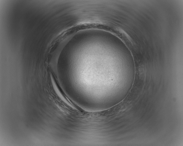 X0000070161064200606021025