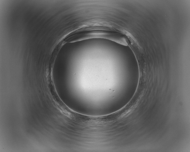 X0000070161065200606021025