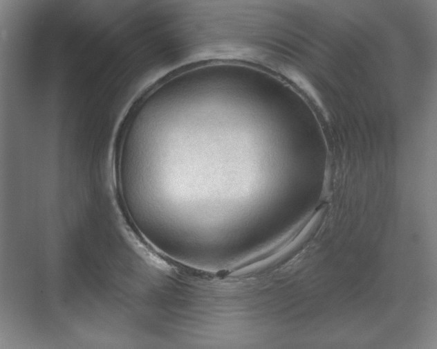 X0000070161080200606021025
