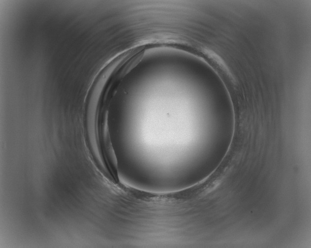 X0000070161081200606021025