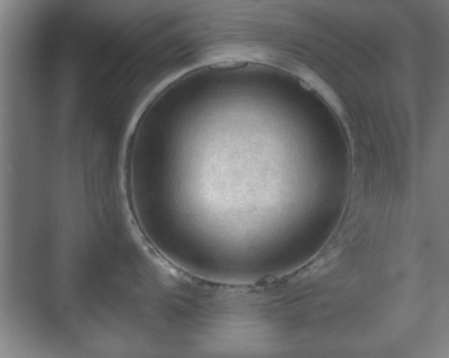 X0000070161104200606021025