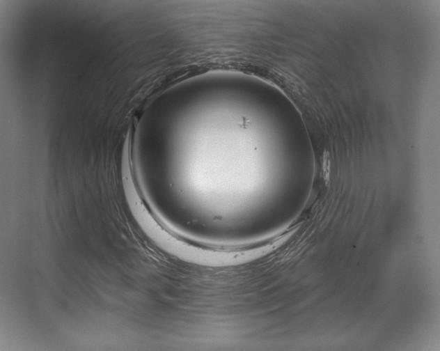 X0000070161107200606021024