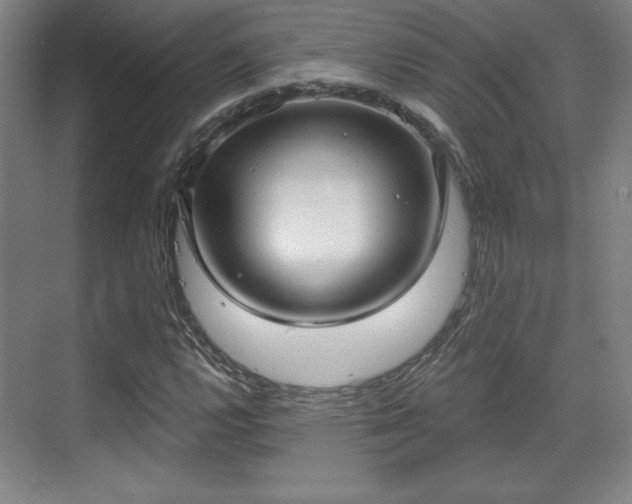 X0000070161112200606021024