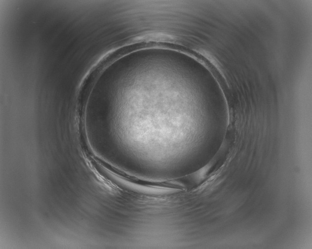 X0000070161115200606021024