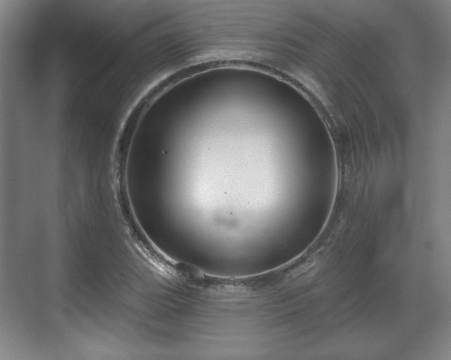 X0000070161119200606021024
