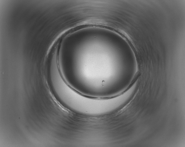 X0000070161123200606021024