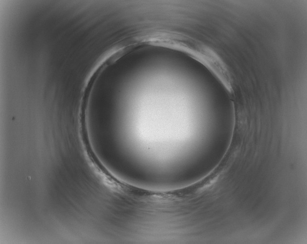 X0000070161138200606021024