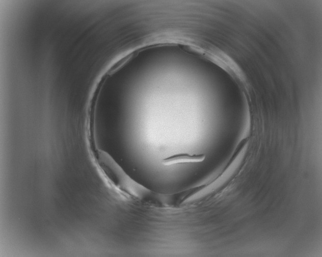 X0000070161144200606021024