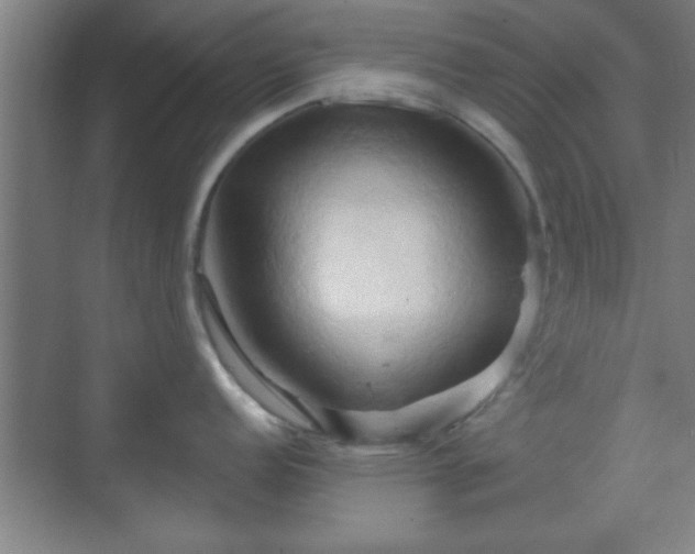 X0000070161152200606021025