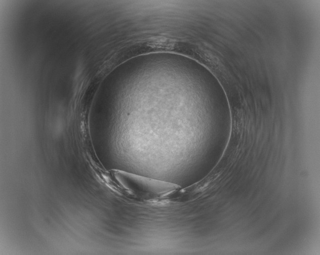 X0000070161154200606021024