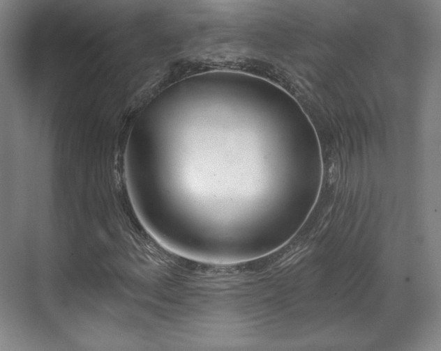 X0000070161156200606021024