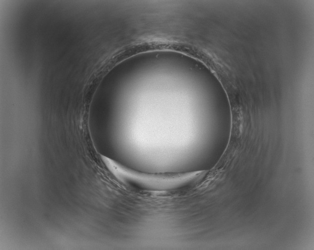 X0000070161157200606021024