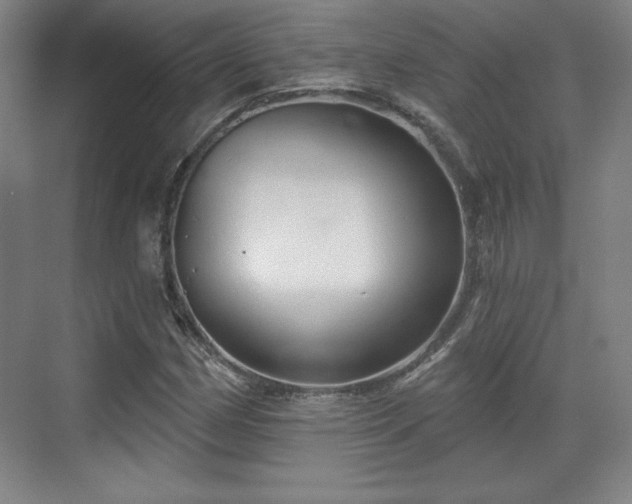 X0000070161162200606021024