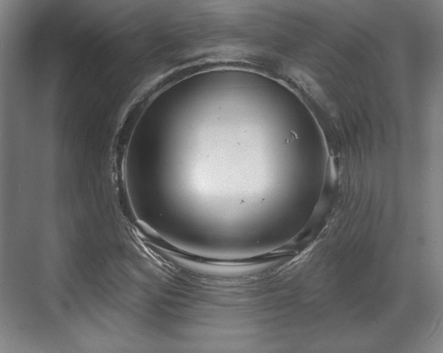 X0000070161164200606021024
