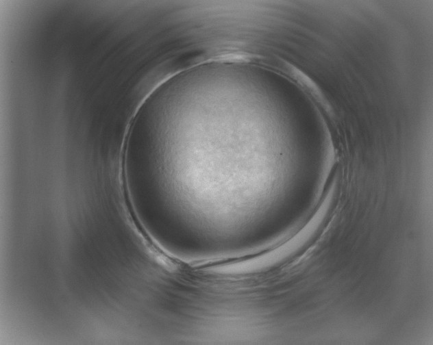 X0000070161194200606021023