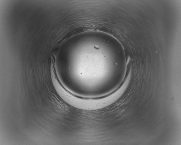 X0000070161202200606021022