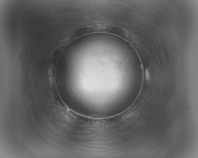 X0000070161203200606021022