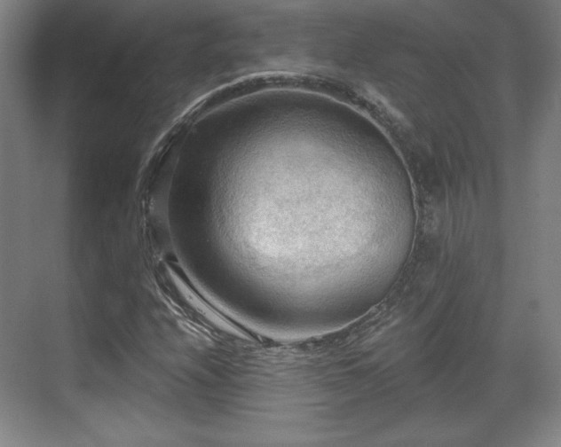 X0000070161208200606021022