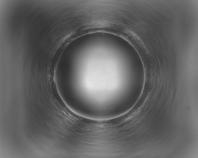 X0000070161210200606021022