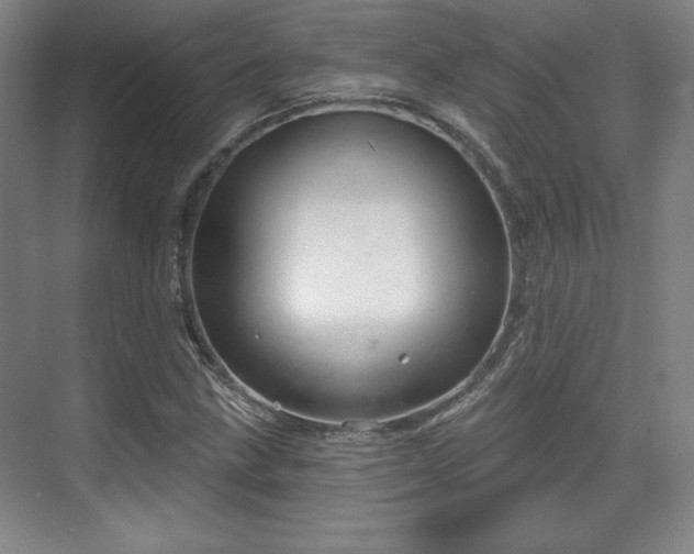 X0000070161211200606021022