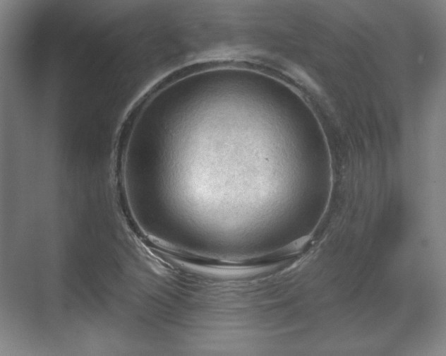 X0000070161216200606021022